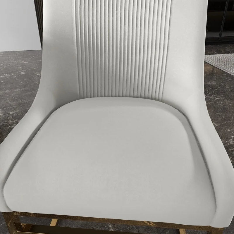 Velvet Accent Chair with Metal Frame Legs, Set of 2